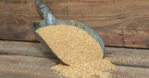 Materiały paszowe i dodatki paszowe